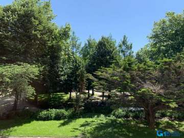 Vistas